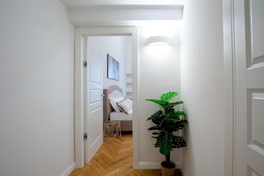 Dimora Nuvola Apartament 佛罗伦萨 外观 照片